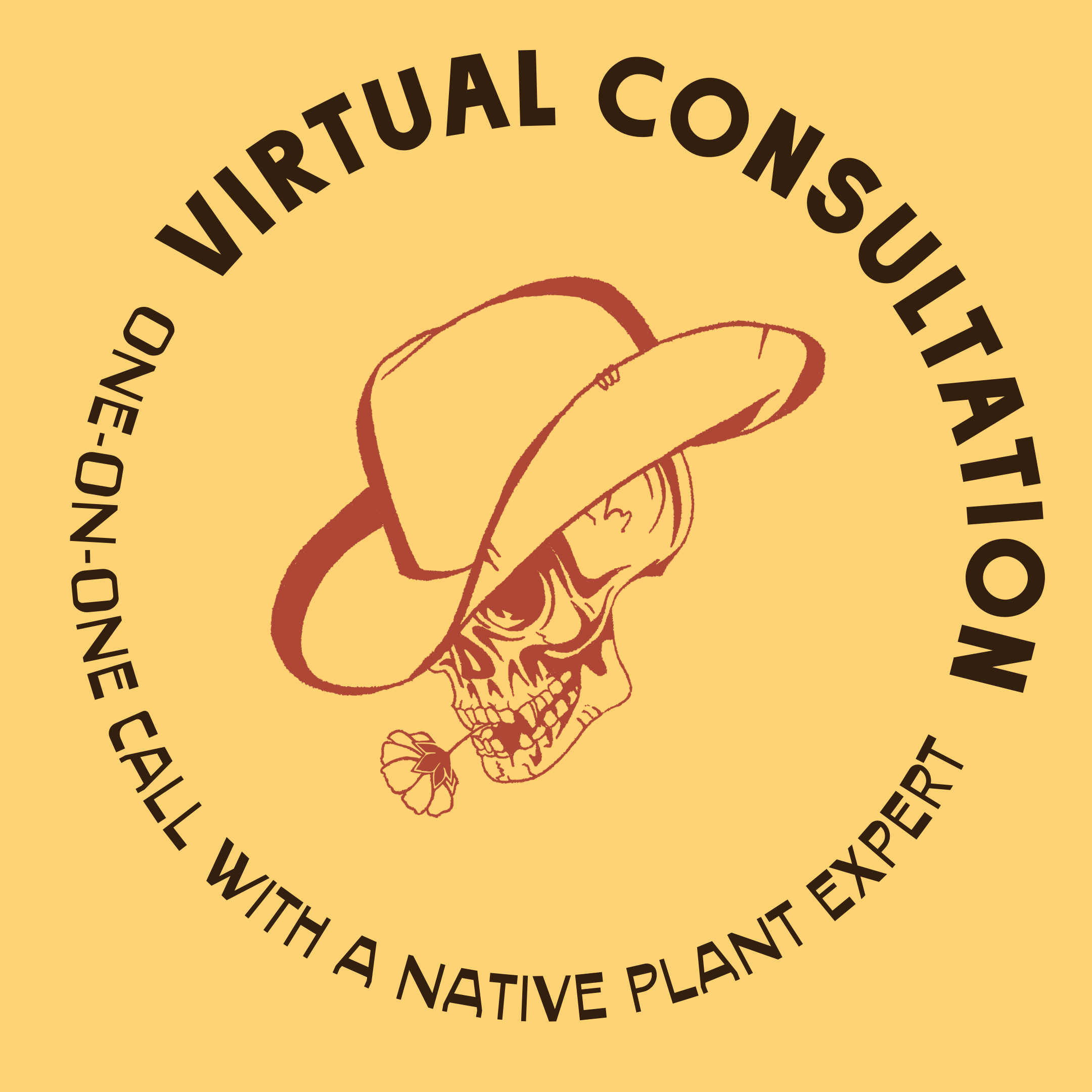 Virtual Consultation