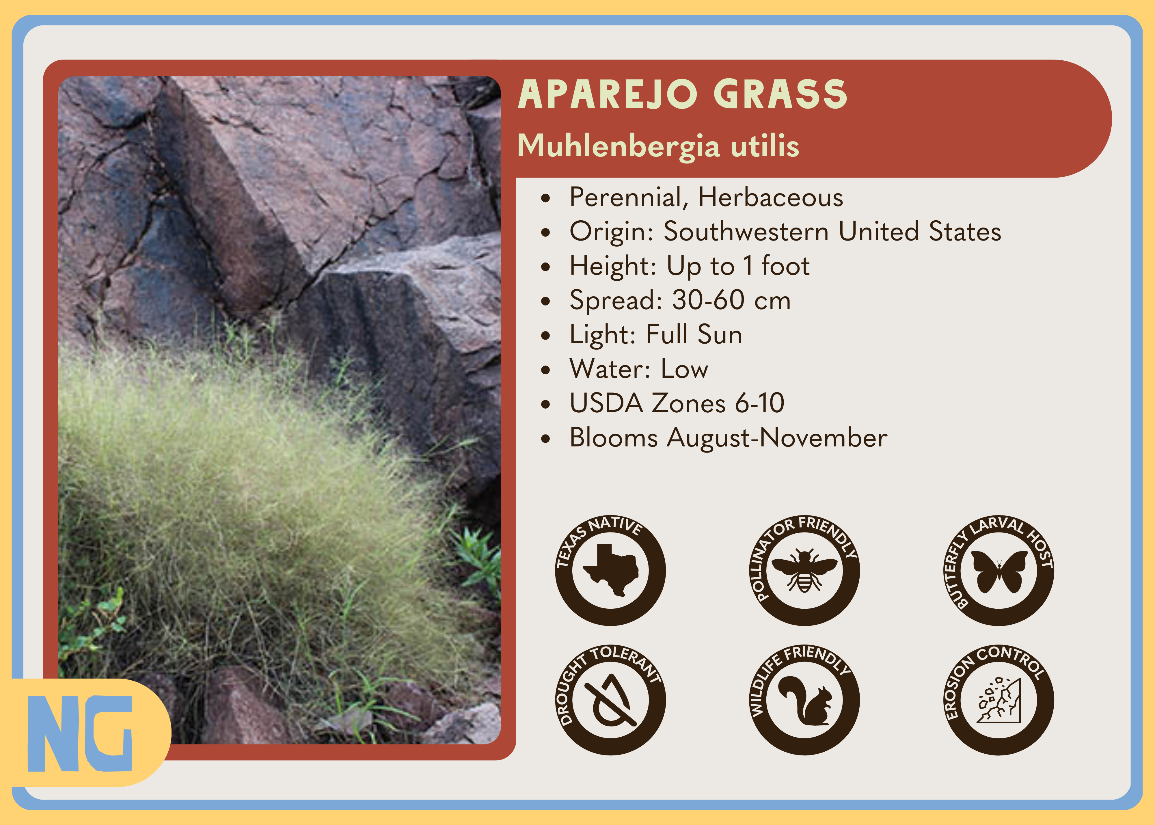 Aparejo Grass