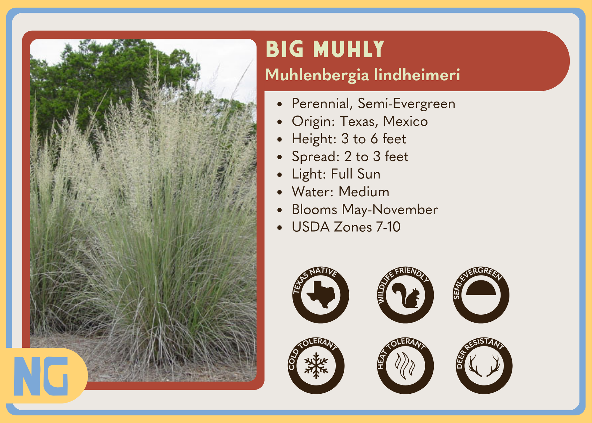 Big Muhly